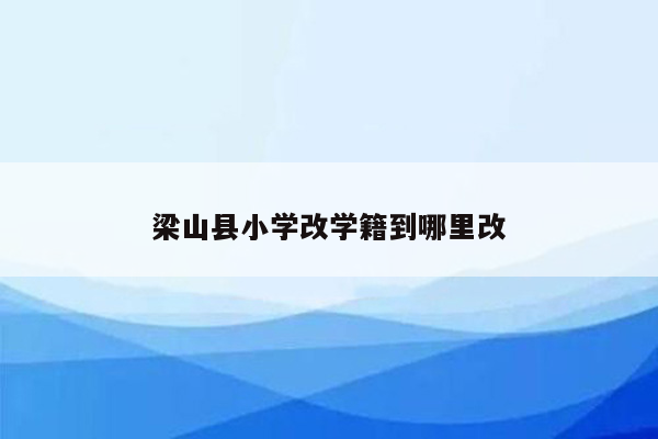 梁山县小学改学籍到哪里改