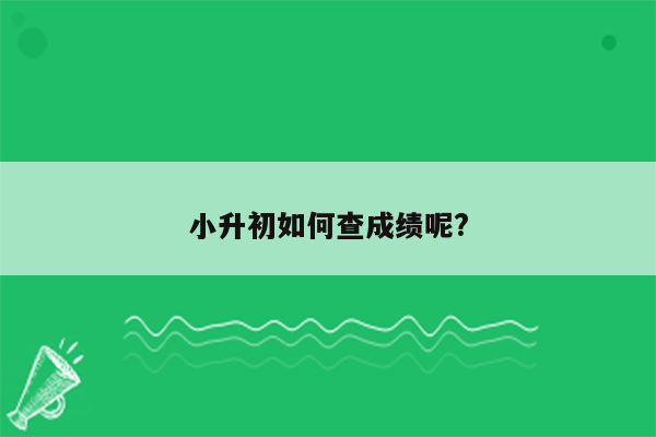 小升初如何查成绩呢?