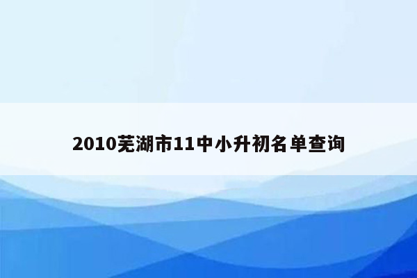 2010芜湖市11中小升初名单查询