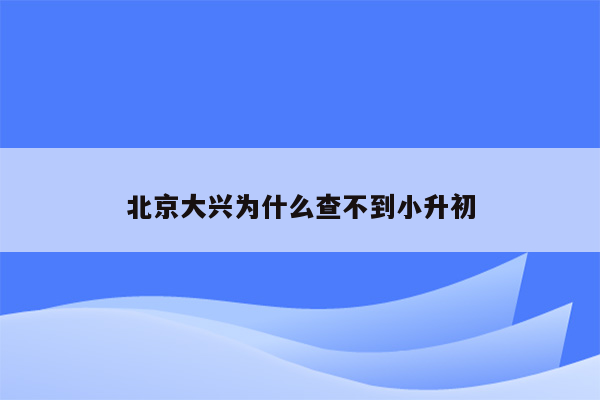 北京大兴为什么查不到小升初