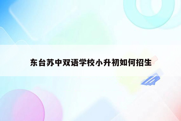 东台苏中双语学校小升初如何招生