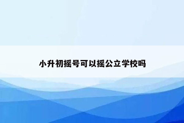 小升初摇号可以摇公立学校吗