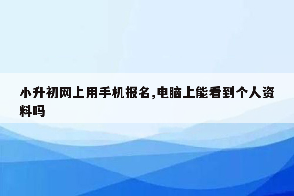 小升初网上用手机报名,电脑上能看到个人资料吗