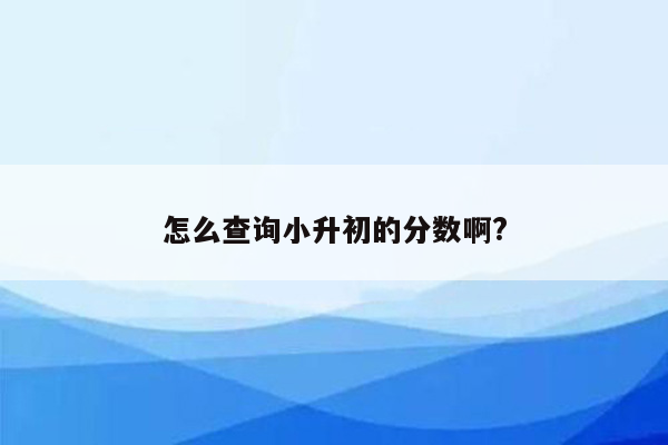 怎么查询小升初的分数啊?