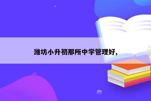 潍坊小升初那所中学管理好,