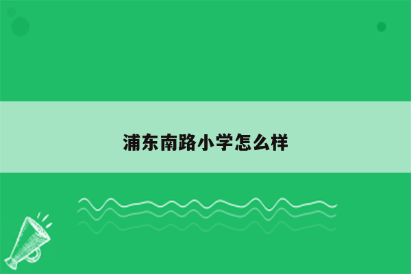 浦东南路小学怎么样