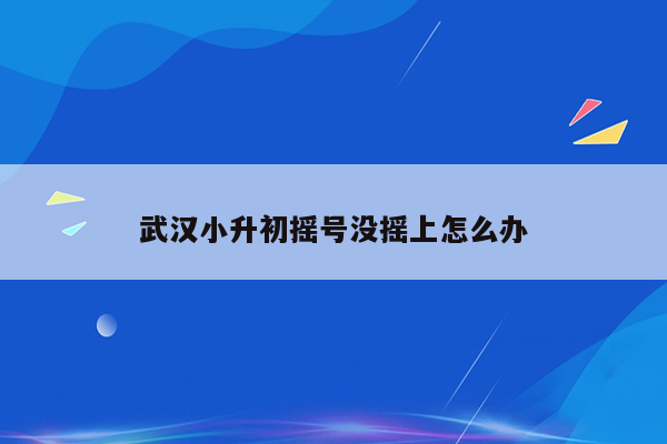 武汉小升初摇号没摇上怎么办