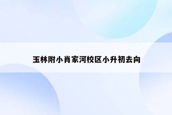 玉林附小肖家河校区小升初去向