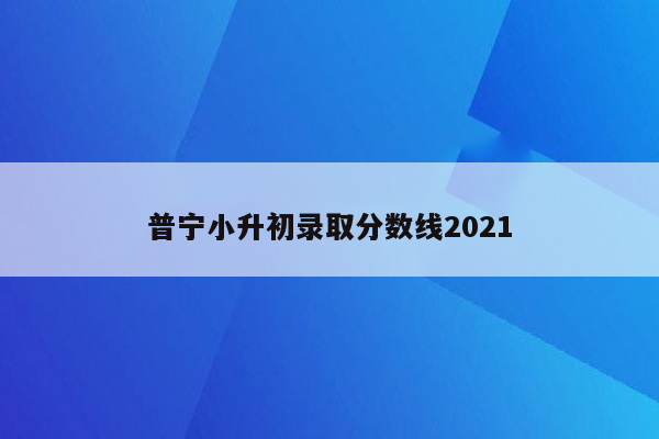 普宁小升初录取分数线2021