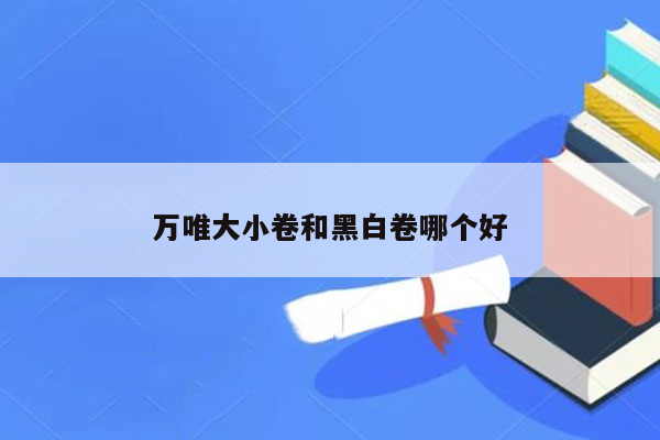 万唯大小卷和黑白卷哪个好