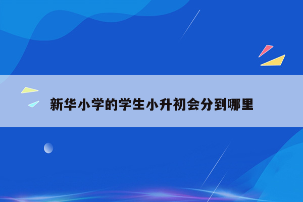 新华小学的学生小升初会分到哪里