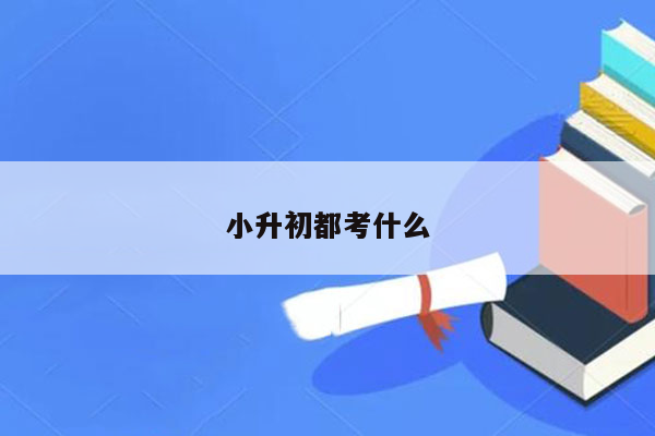 小升初都考什么