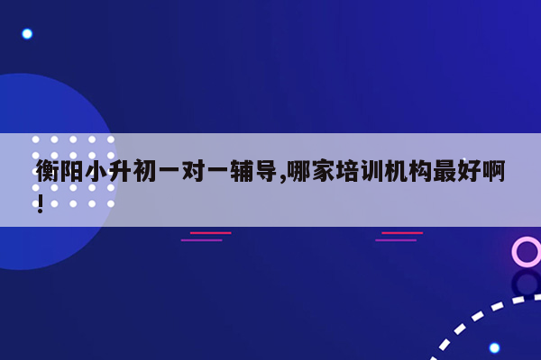 衡阳小升初一对一辅导,哪家培训机构最好啊!