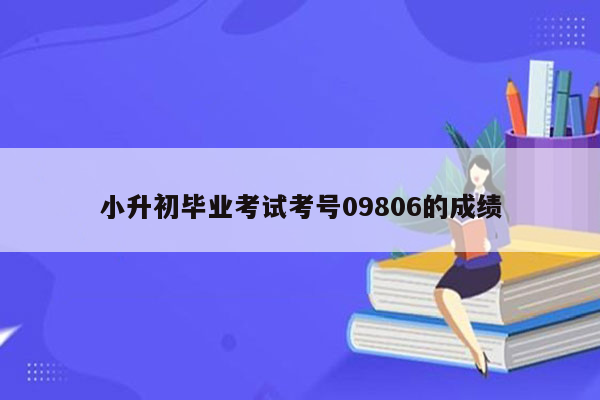 小升初毕业考试考号09806的成绩