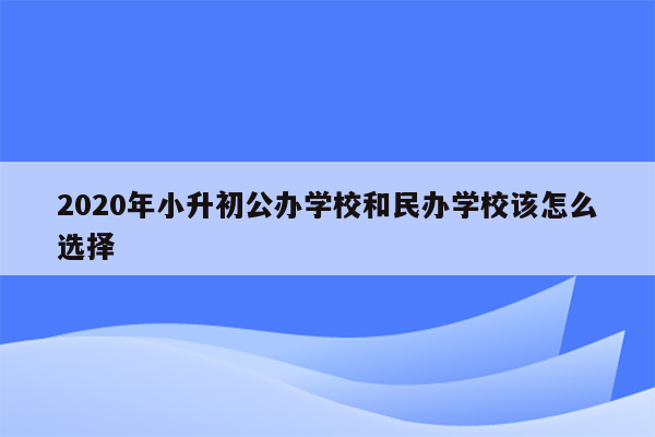 2020年小升初公办学校和民办学校该怎么选择