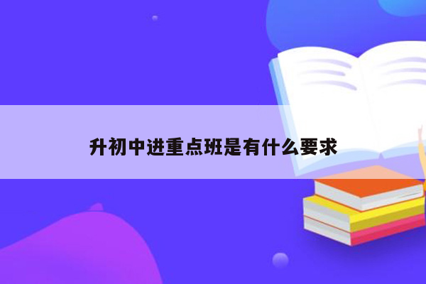 升初中进重点班是有什么要求