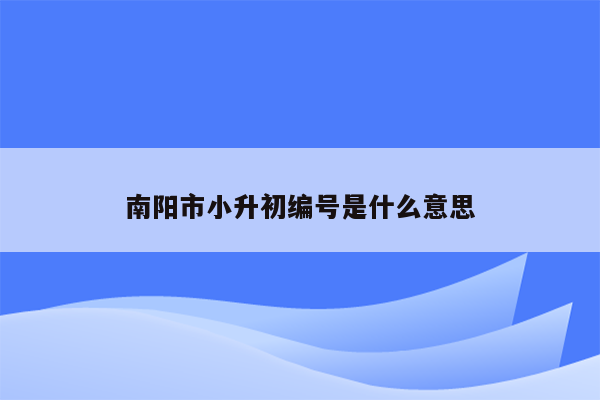 南阳市小升初编号是什么意思