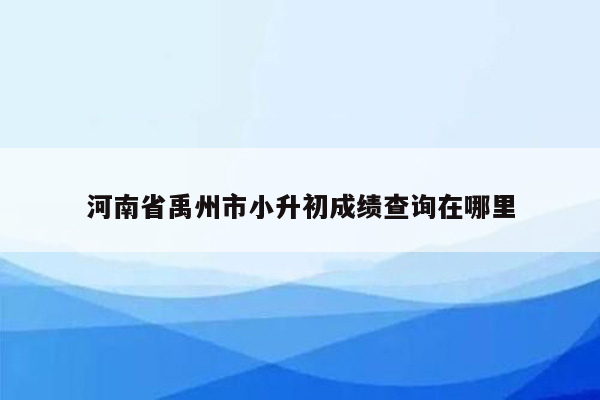 河南省禹州市小升初成绩查询在哪里