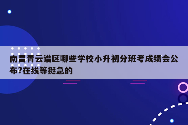 南昌青云谱区哪些学校小升初分班考成绩会公布?在线等挺急的