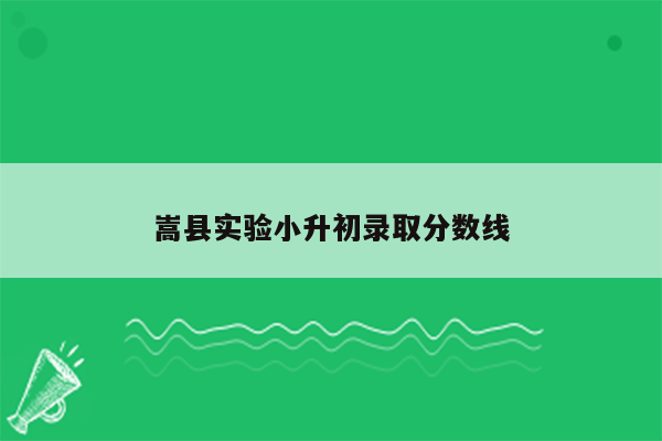 嵩县实验小升初录取分数线