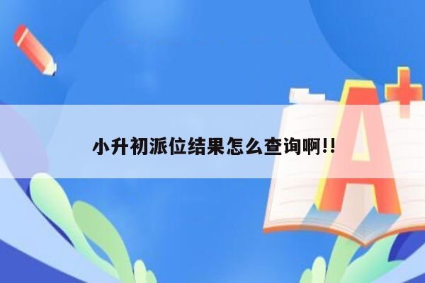 小升初派位结果怎么查询啊!!