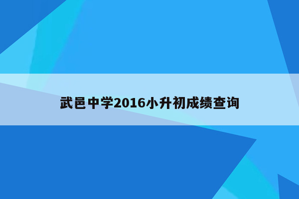 武邑中学2016小升初成绩查询