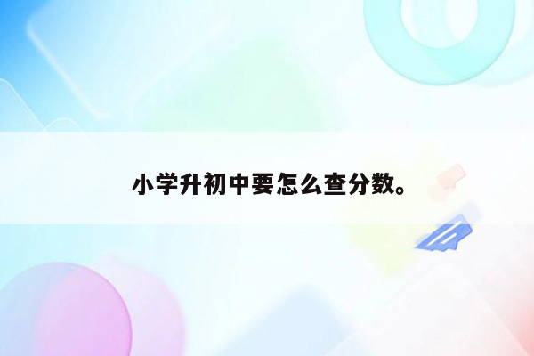 小学升初中要怎么查分数。