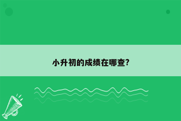 小升初的成绩在哪查?