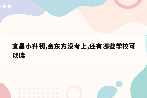 宜昌小升初,金东方没考上,还有哪些学校可以读