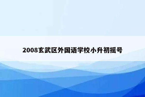 2008玄武区外国语学校小升初摇号