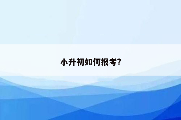 小升初如何报考?