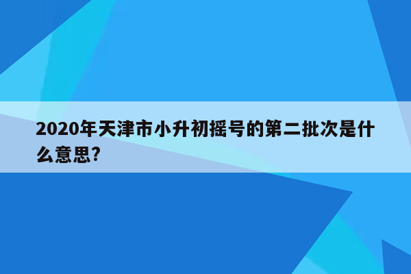 2020年天津市小升初摇号的第二批次是什么意思?