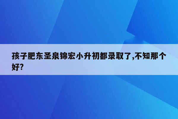 孩子肥东圣泉锦宏小升初都录取了,不知那个好?