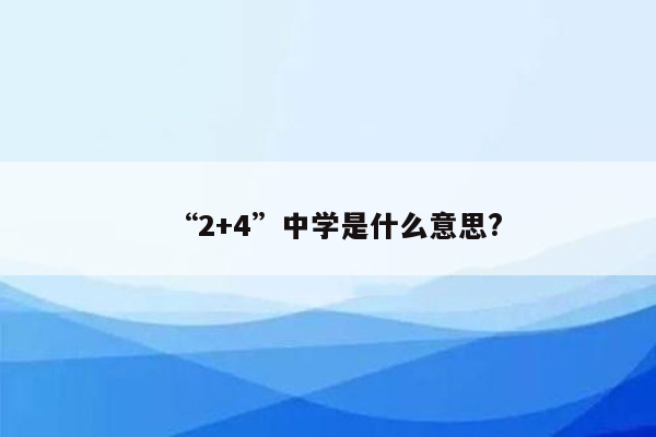 “2+4”中学是什么意思?