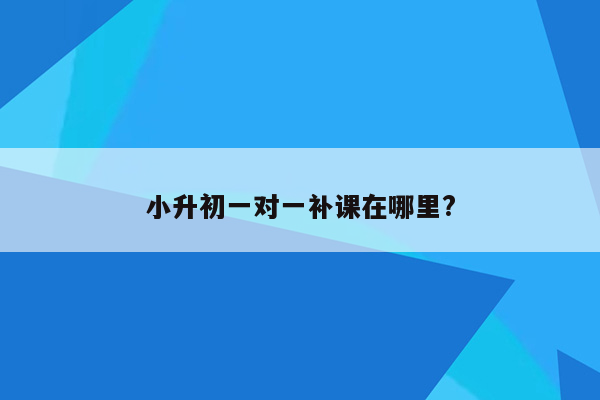 小升初一对一补课在哪里?