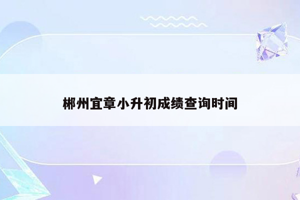 郴州宜章小升初成绩查询时间