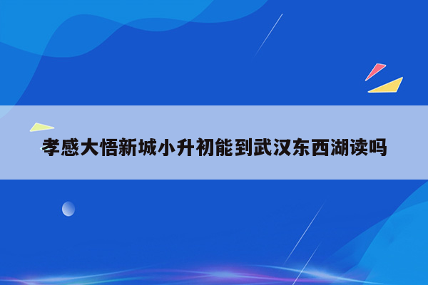 孝感大悟新城小升初能到武汉东西湖读吗