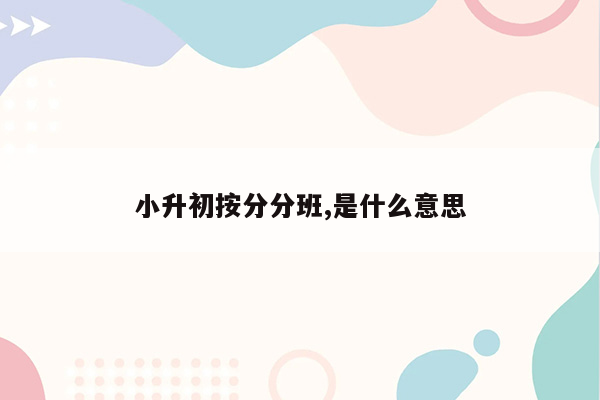 小升初按分分班,是什么意思