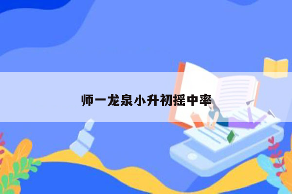 师一龙泉小升初摇中率