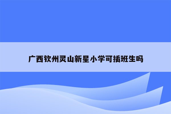 广西钦州灵山新星小学可插班生吗