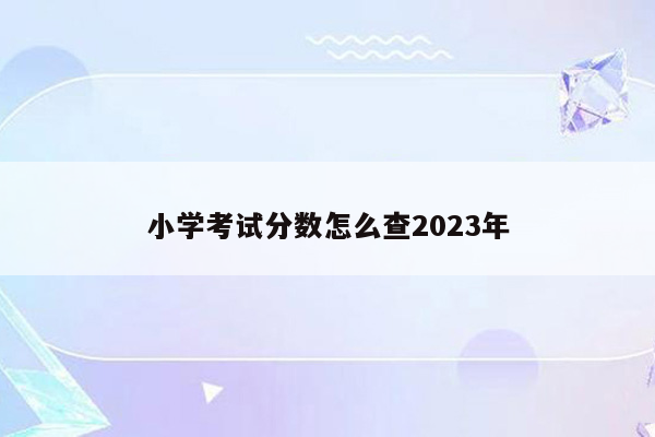 小学考试分数怎么查2023年