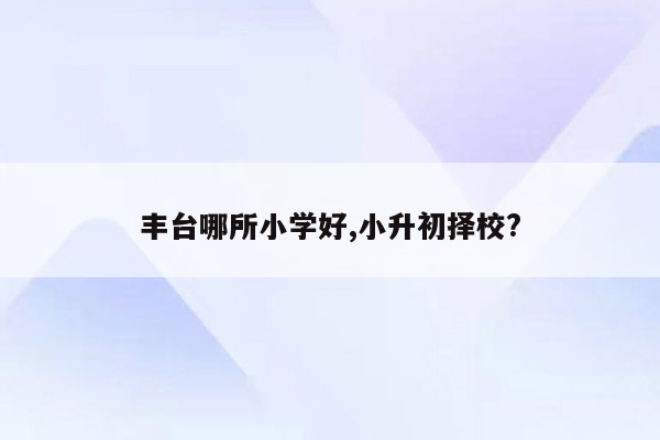 丰台哪所小学好,小升初择校?