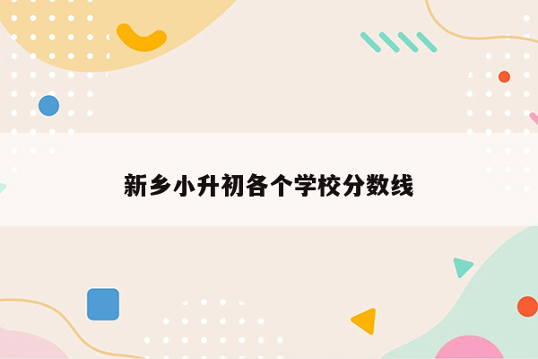 新乡小升初各个学校分数线