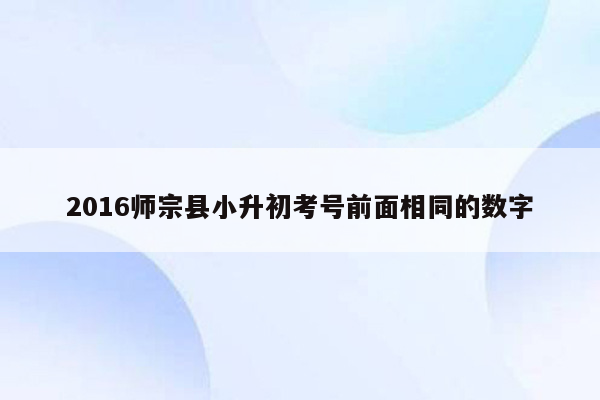 2016师宗县小升初考号前面相同的数字