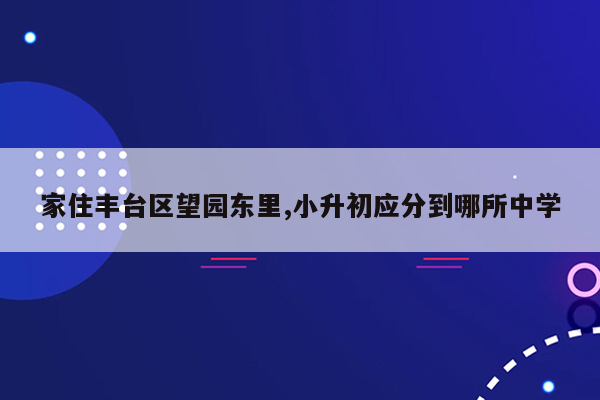 家住丰台区望园东里,小升初应分到哪所中学