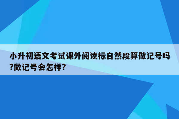 小升初语文考试课外阅读标自然段算做记号吗?做记号会怎样?