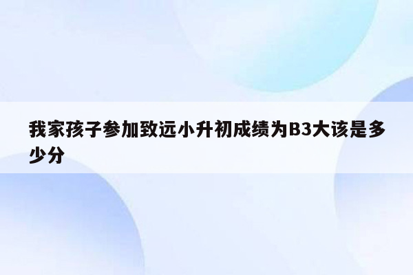 我家孩子参加致远小升初成绩为B3大该是多少分