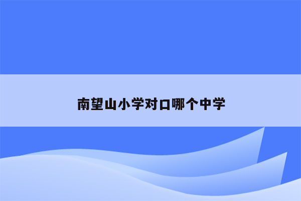 南望山小学对口哪个中学