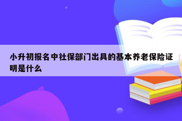 小升初报名中社保部门出具的基本养老保险证明是什么