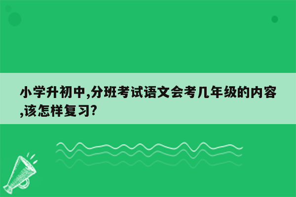 小学升初中,分班考试语文会考几年级的内容,该怎样复习?